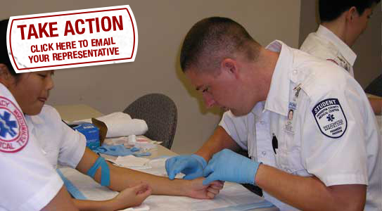Teaching and Training Program